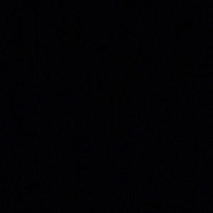 Meet your Posher, Jayla